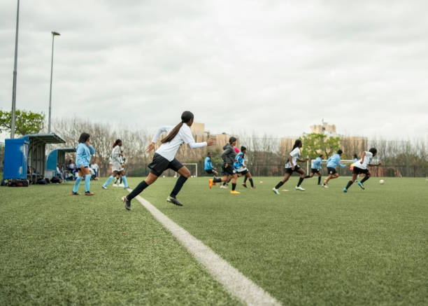 著名转会专 著名转会专